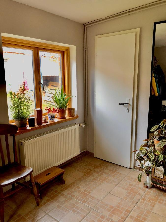 Gemuetliches Studio-Apartment In Ostseenaehe - Cosy Wulfi Probsteierhagen Exterior photo